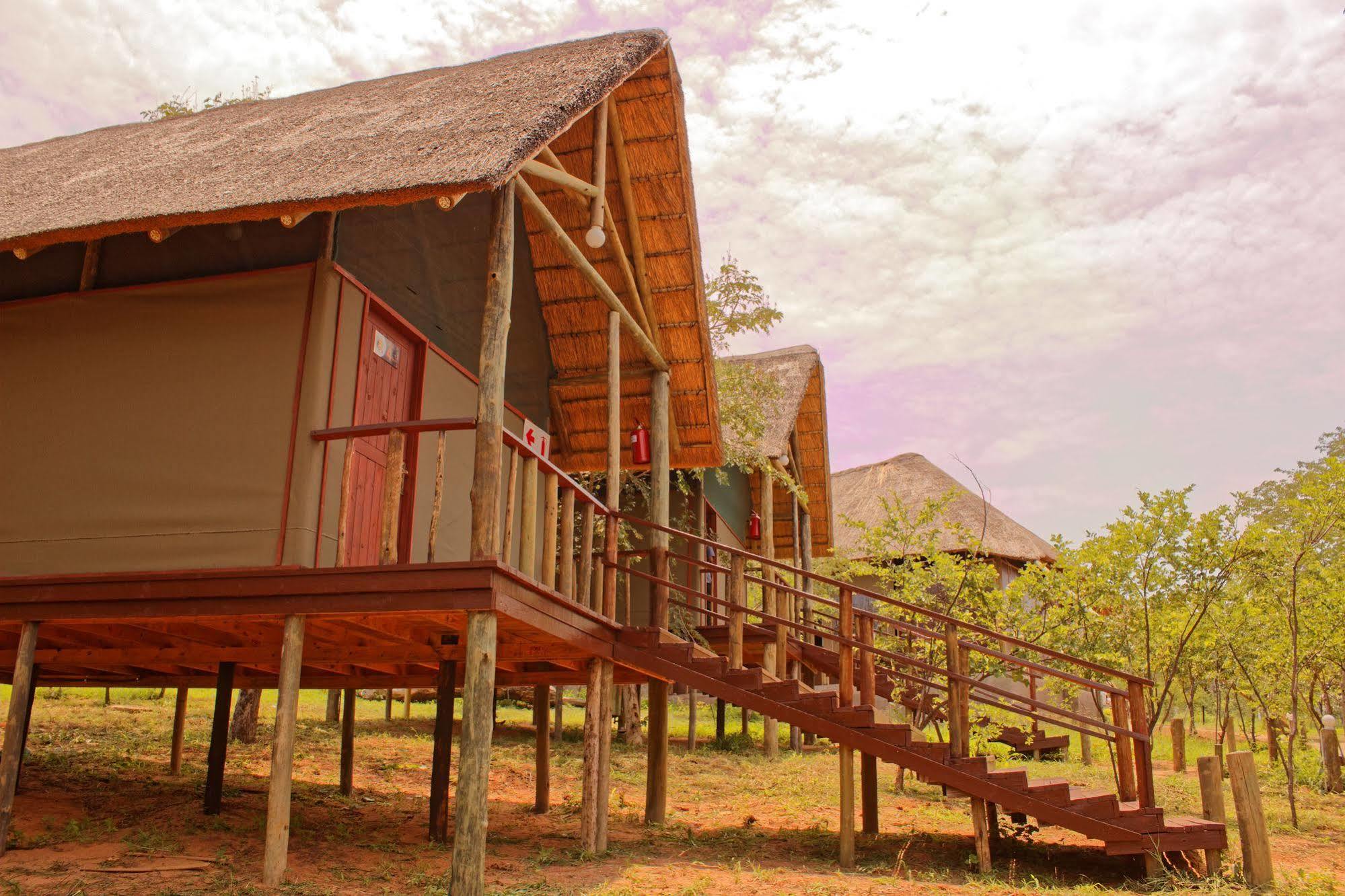 Lion Roars Lodge Lesoma Dış mekan fotoğraf